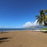 South Kalepolepo Beach Park & Whale Sanctuary – Fish Pond