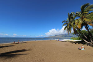 South Kalepolepo Beach Park & Whale Sanctuary – Fish Pond