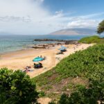 south Kamaʻole Beach Park l ll & lll