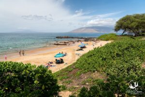 south Kamaʻole Beach Park l ll & lll